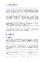 [인터넷 기업 성공 사례] CJ인터넷 넷마블 인터넷마케팅-3
