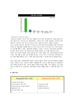 [인터넷마케팅전략] 구글 성공 신화의 비밀 그리고 한국 진출-12