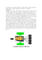 [마케팅전략론] 유한양행과 광동제약-15