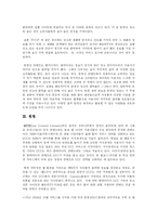 [인터넷비즈니스] 동영상 판도라TV 경영전략-4