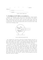 [교육심리학] 오스벨의 유의미 학습 이론-5
