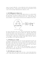 [교육심리학] 오스벨의 유의미 학습 이론-7