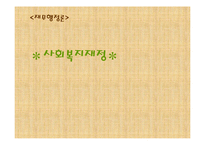 [재무행정] 사회복지재정-1