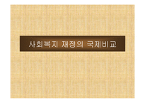 [재무행정] 사회복지재정-6