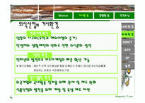 [마케팅] 크리스피 크림(Krispy Kream) 마케팅 완벽 분석-10