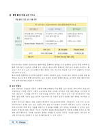 [경영학] 안철수 연구소의 마케팅 분석-12