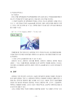 [주류마케팅] 진로의 성공적 일본 시장 진출 전략 방안-19