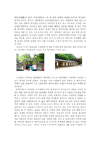 [국사] 창덕궁에 다녀와서-4