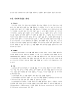 [사회복지] 사회복지실천에 대한 이해-6