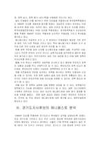 [행정학] 2006 매니페스토 경기도후보자-3