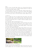 [국제학] 중국의 역사왜국 동북공정 비판-5