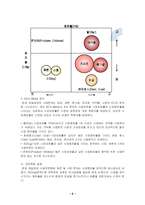 [마케팅] CJ의 사업부분별 마케팅 전략 분석-6