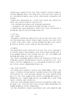 [마케팅] CJ의 사업부분별 마케팅 전략 분석-7