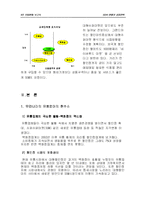 [생산운영관리] SSM 시장현황 및 성장전략-5