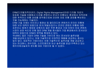 [컴퓨터] DRM : Digital Rights Mangement-4