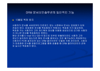 [컴퓨터] DRM : Digital Rights Mangement-6