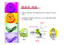 [컴퓨터] vpn(암호학)-5