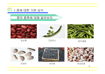 [교양,상식,농업,효능] [교양]콩에 대해-4