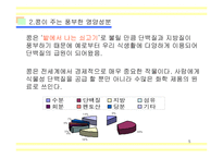[교양,상식,농업,효능] [교양]콩에 대해-5