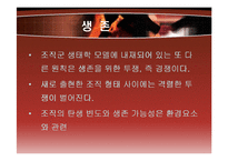 [조직구조론] 조직간관계-17