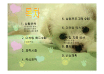 애견헬스클럽 사업계획서-2