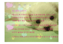 애견헬스클럽 사업계획서-3
