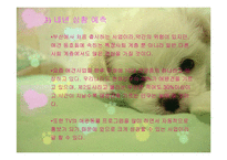 애견헬스클럽 사업계획서-5