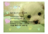 애견헬스클럽 사업계획서-16