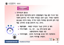 [사업계획서] 중국애견사업-13