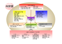 브랜드 포트폴리오 전략-6
