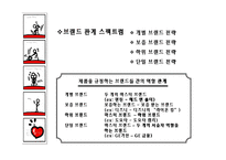 브랜드 포트폴리오 전략-7