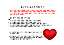 브랜드 포트폴리오 전략-9