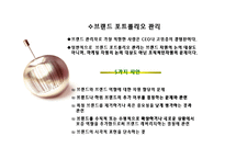 브랜드 포트폴리오 전략-10