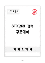 [자기소개서] STX엔진 경력 구조해석-1