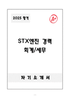 [자기소개서] STX엔진 경력 회계&세무-1