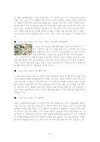 [마케팅전략] 태평양 오설록 티 하우스 마케팅-6
