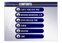 [국제경영론] MERIDIAN MAGNESIUM의 국제 기술 이전-2