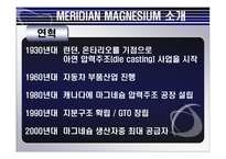 [국제경영론] MERIDIAN MAGNESIUM의 국제 기술 이전-4