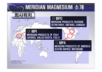 [국제경영론] MERIDIAN MAGNESIUM의 국제 기술 이전-5