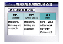 [국제경영론] MERIDIAN MAGNESIUM의 국제 기술 이전-6