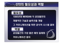 [국제경영론] MERIDIAN MAGNESIUM의 국제 기술 이전-7