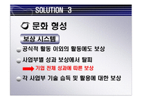 [국제경영론] MERIDIAN MAGNESIUM의 국제 기술 이전-12
