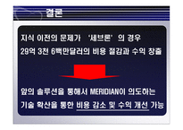 [국제경영론] MERIDIAN MAGNESIUM의 국제 기술 이전-13
