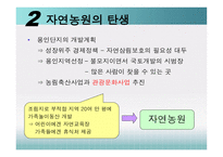 [경영학] 삼성에버랜드 산업구조분석-8