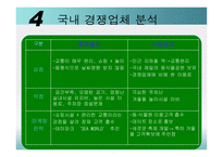 [경영학] 삼성에버랜드 산업구조분석-15