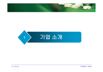 [기업분석] CJ인터넷 기업분석-3