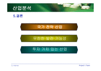 [기업분석] CJ인터넷 기업분석-17