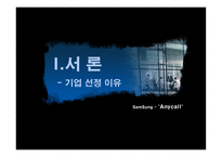 [국제경영] 애니콜 Anycall의 유럽시장 진출 전략-3