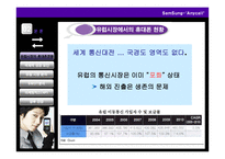 [국제경영] 애니콜 Anycall의 유럽시장 진출 전략-7