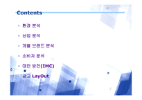 [광고기획론] ‘청도 소싸움’을 통한 청도군 브랜드화 전략-2